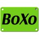 BoXo Classic Profiel | 100x70x45mm LxBxH